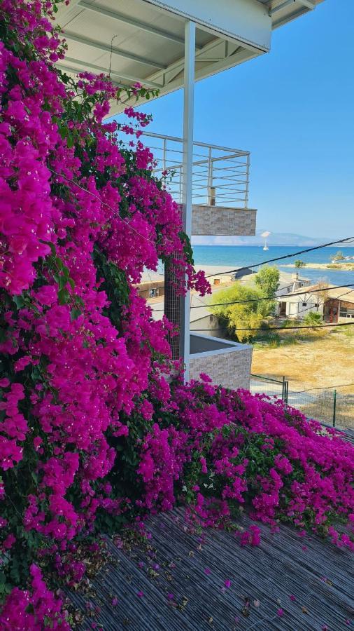 Begonvil Otel Çeşme Zewnętrze zdjęcie