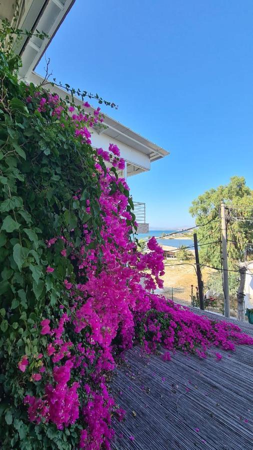 Begonvil Otel Çeşme Zewnętrze zdjęcie